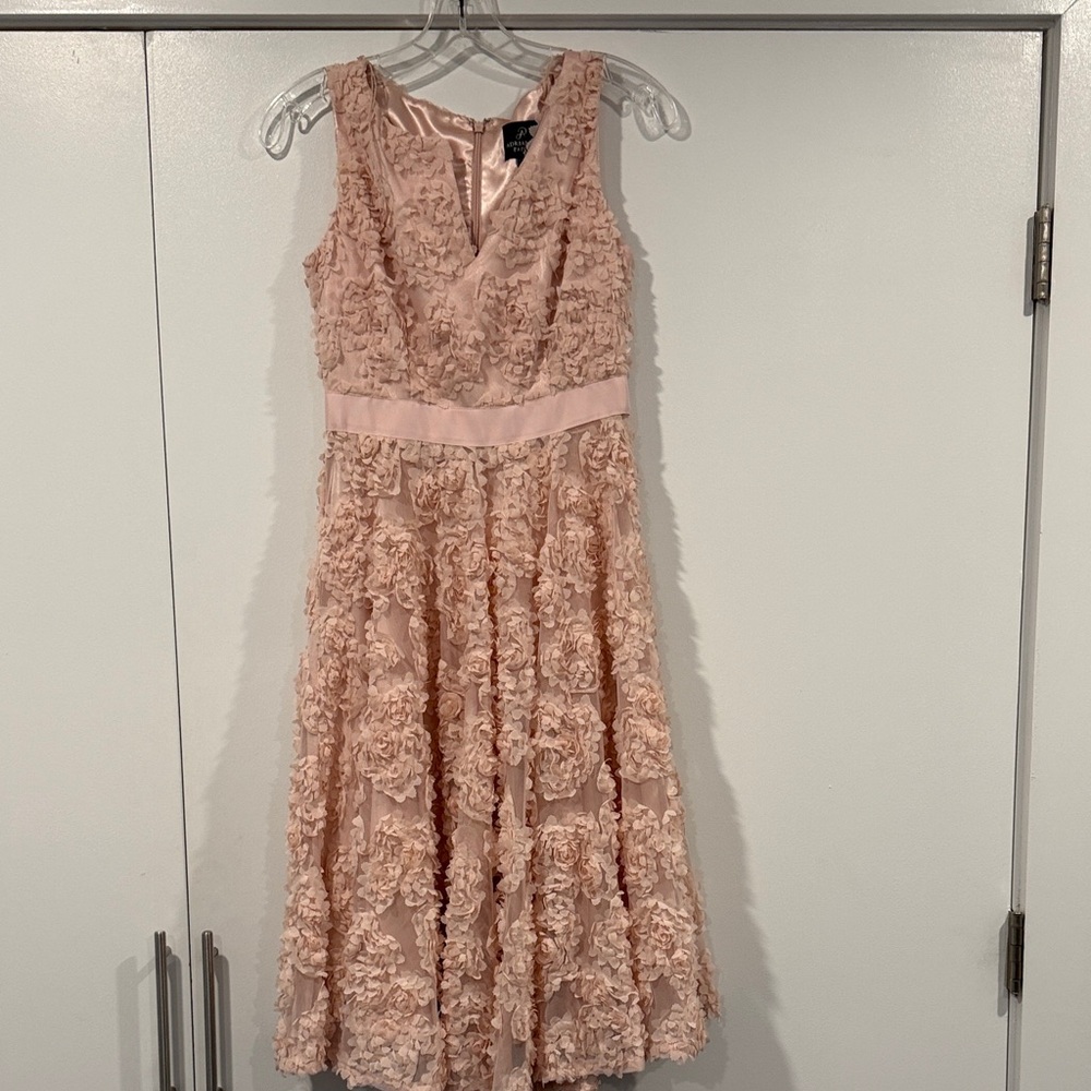 Adrianna Papell Floral Appliqu Midi Dress With Gro Grain